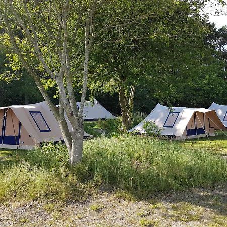Ameland Tentenverhuur Nes  Exterior photo